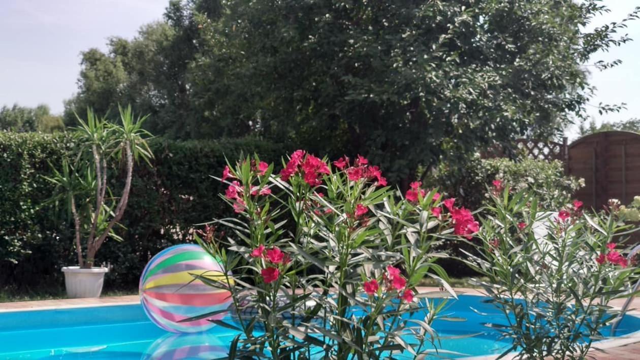 Leander Apartman Balatonlelle Exteriér fotografie
