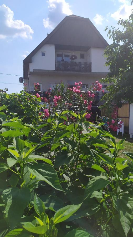 Leander Apartman Balatonlelle Exteriér fotografie