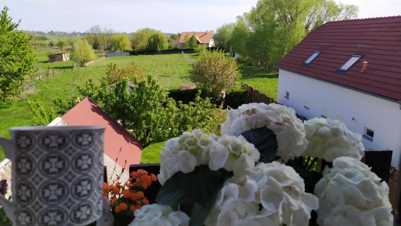 Leander Apartman Balatonlelle Exteriér fotografie